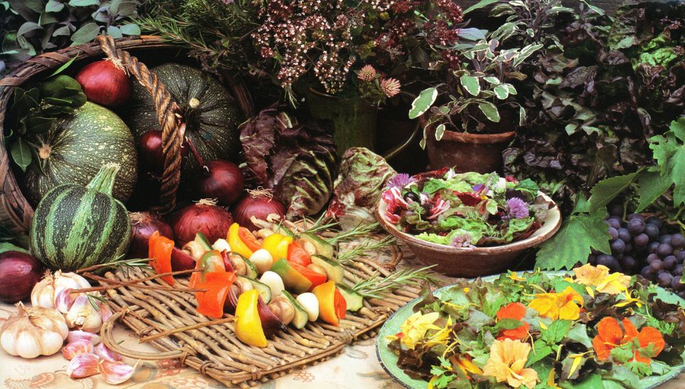 Rosemary Kebabs of Char-Grilled Summer Vegetables from Complete Book of ...