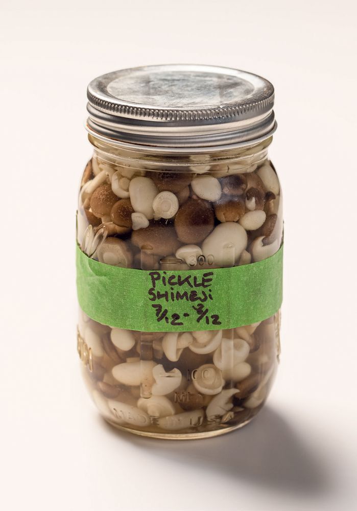 Pickled Shimeji Mushrooms from Catalogued Ideas and Random Thoughts by