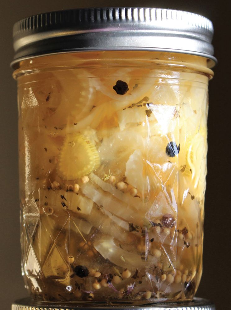 Pickled Fennel from Can It & Ferment It More Than 75 Satisfying Small