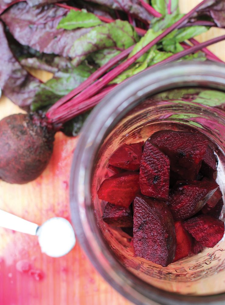 Beet Kvass from Can It & Ferment It More Than 75 Satisfying Small