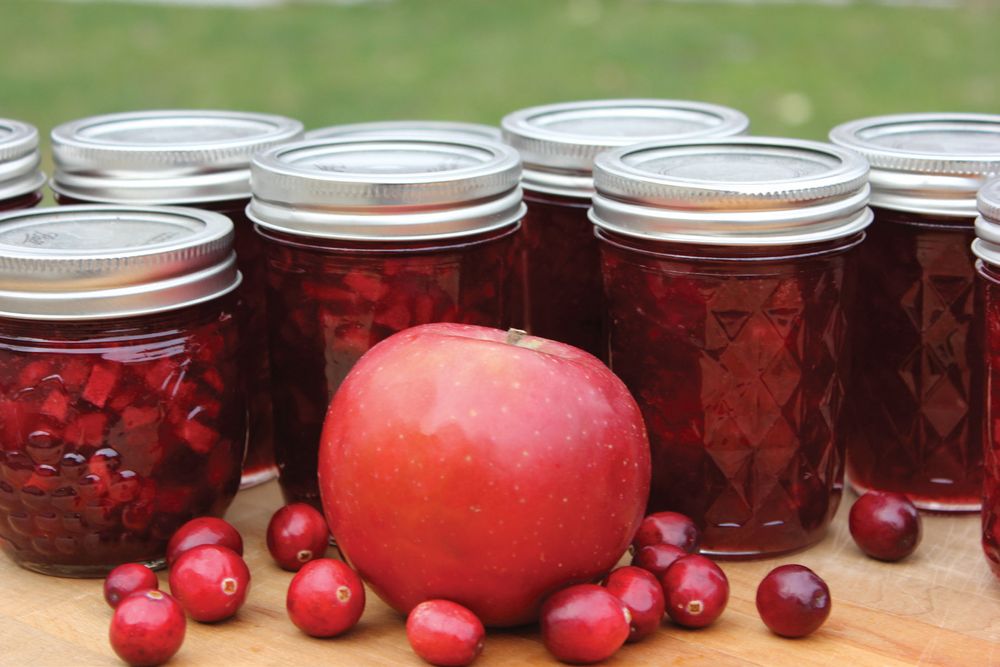 CranberryApple Jam from Can It & Ferment It More Than 75 Satisfying SmallBatch Canning and