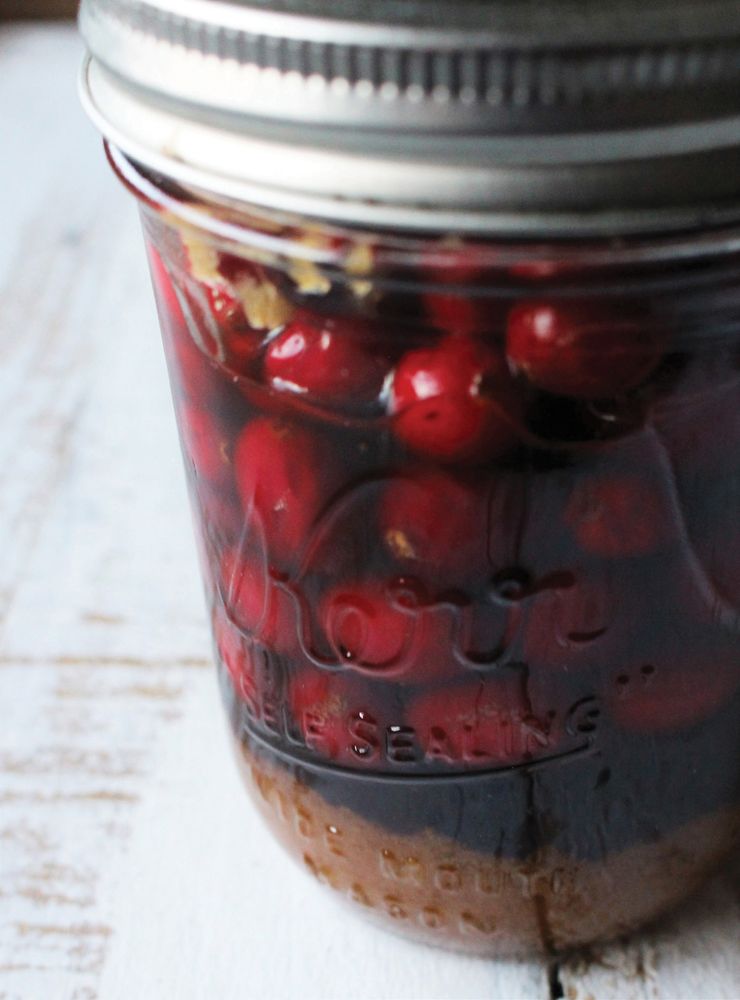CranberryHoney Ferment from Can It & Ferment It More Than 75