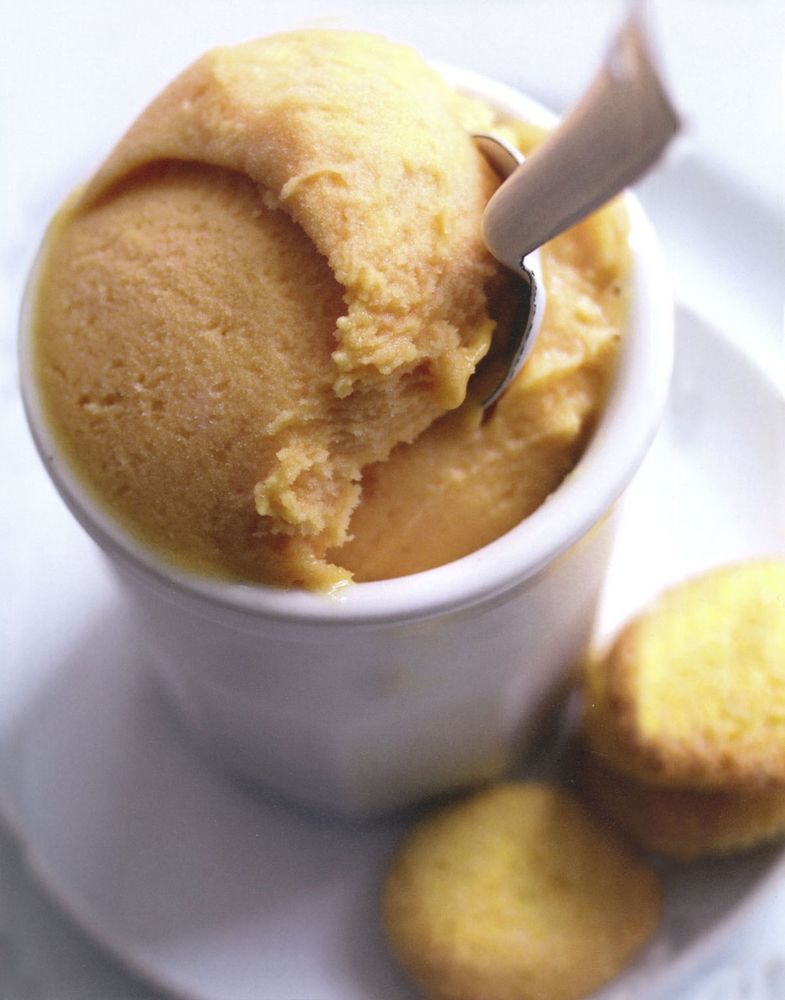 Campari and Passionfruit Sorbet from An Invitation to Italian Cooking by Antonio Carluccio