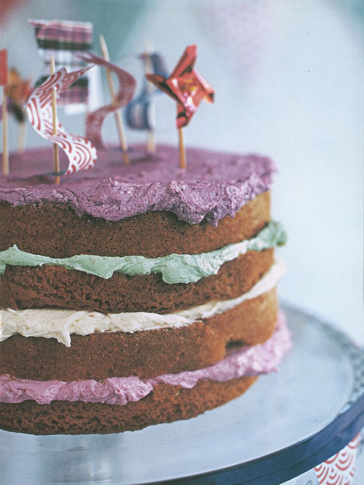 Gala Cake from Bake and Decorate by Fiona Cairns
