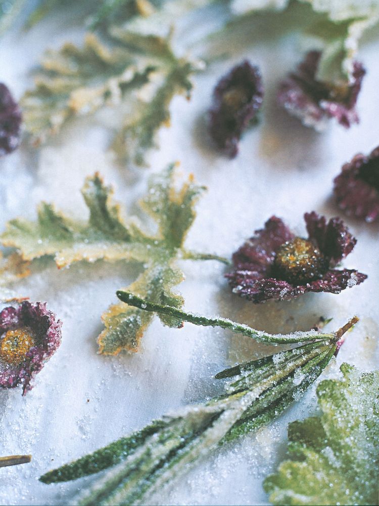 How to Make Crystallised Flowers and Leaves from Bake and Decorate by