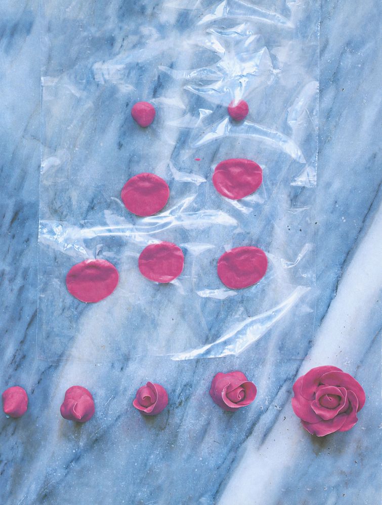 How to Make Sugarpaste Roses from Bake and Decorate by Fiona Cairns