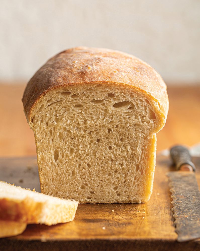 Honey Whole Wheat Bread - Baker Bettie