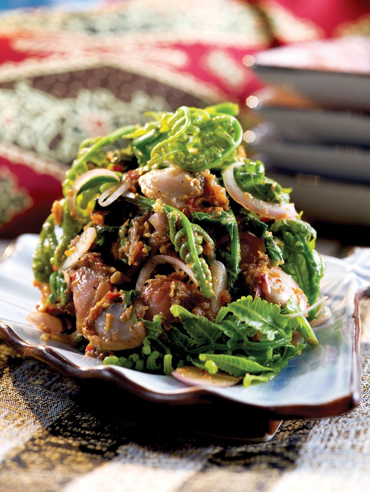 Fiddlehead Fern Salad with Cockles from The Best of Chef Wan Volume 1
