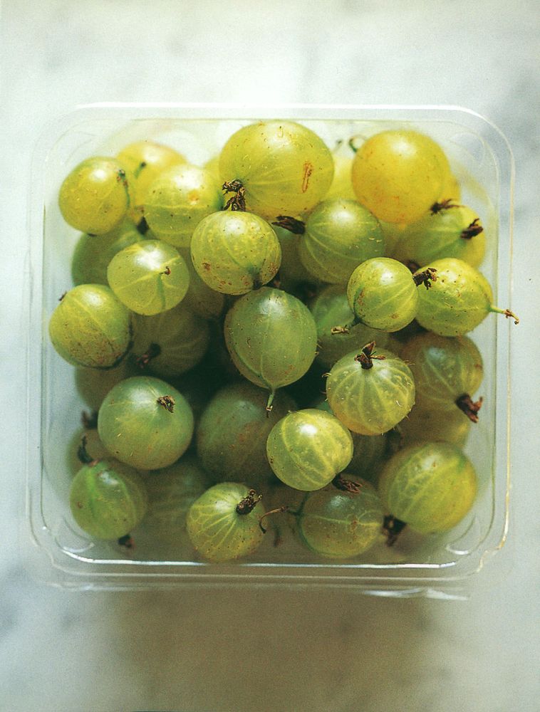 Grilled mackerel with gooseberry sauce from British Food by Mark Hix