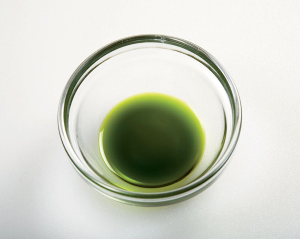 Bright Green Basil Oil from Professional Garde Manger A Comprehensive