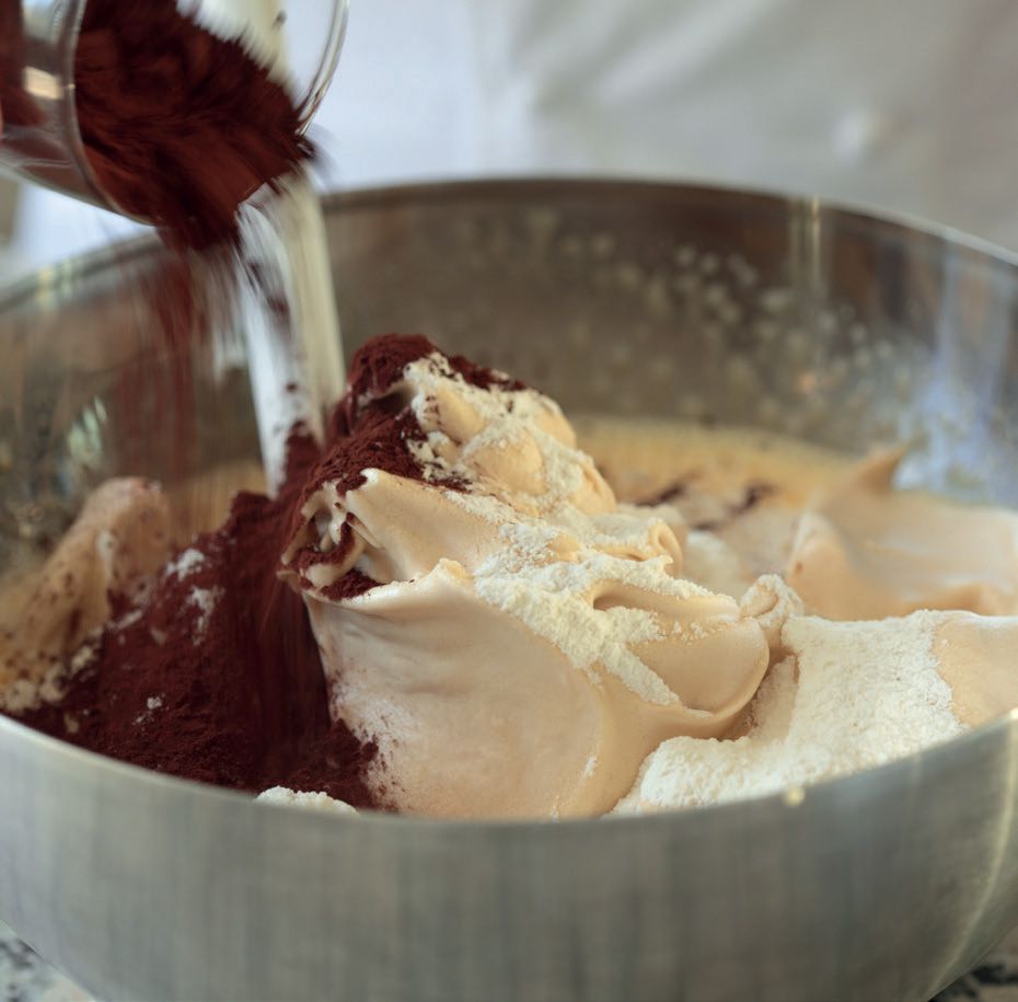 Cocoa Jelly Roll from Encyclopedia of Chocolate Essential Recipes and