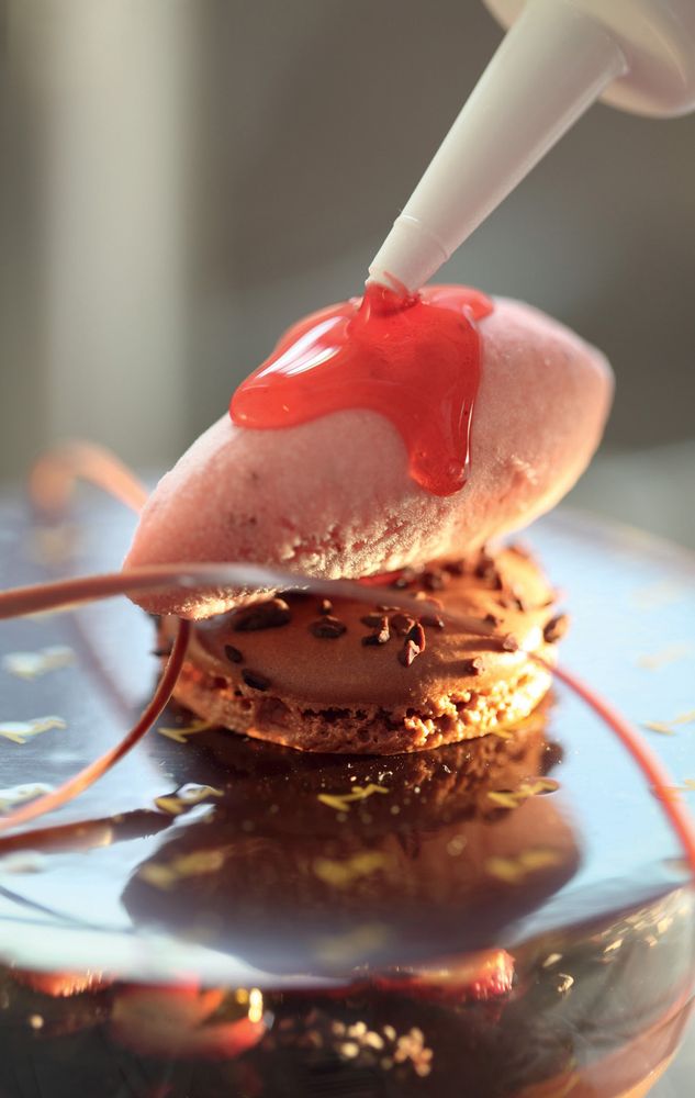 Bittersweet Chocolate Ice Cream with Red Berries from Encyclopedia of