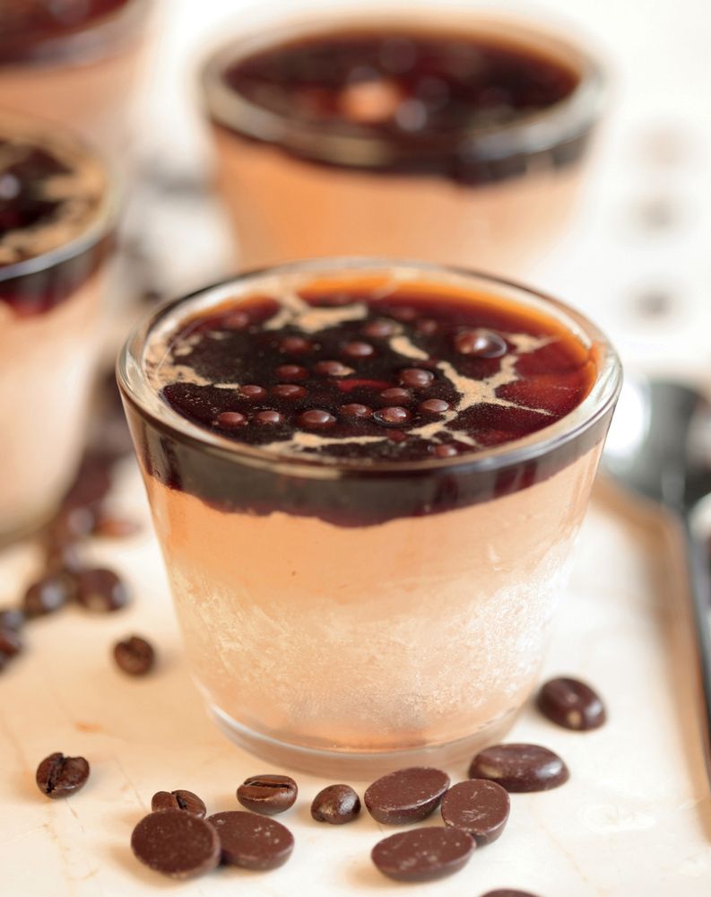 Iced HazelnutChocolate Mousse and LemonLime Cream from Encyclopedia of Chocolate Essential