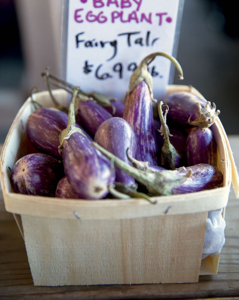 ChiliRoasted Eggplant from Endless Summer Cookbook by Katie Lee