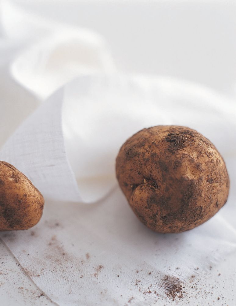 Potato Gratin from The Food I Love by Neil Perry