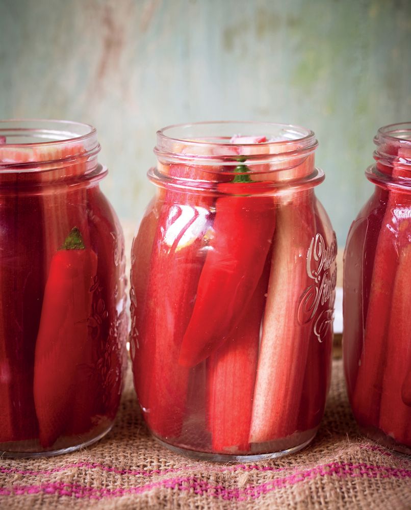Fermented Rhubarb from Fermentation by Asa Simonsson