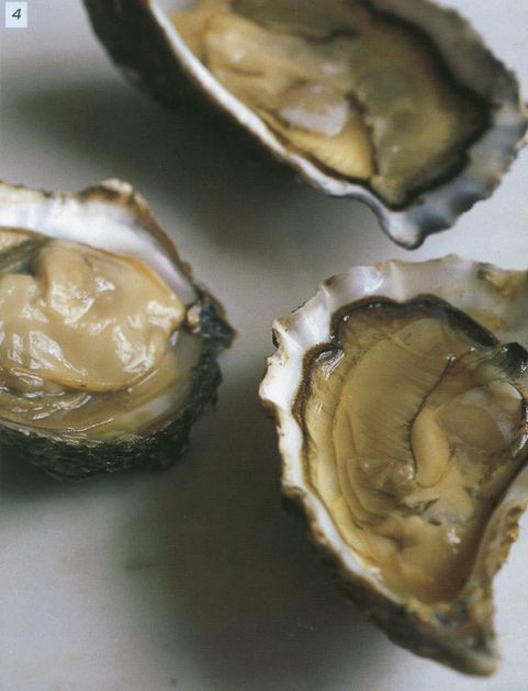 Oysters from Fish etc.: the ultimate book for seafood lovers by