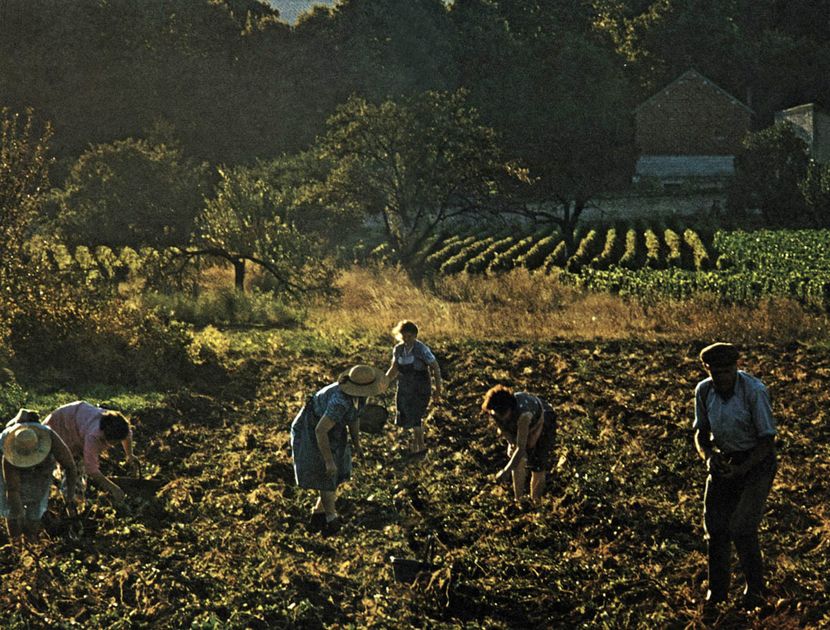 Marc Riboud/John Hillelson Agency