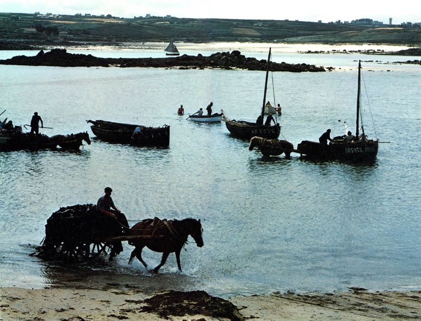 Marc Riboud/John Hillelson Agency