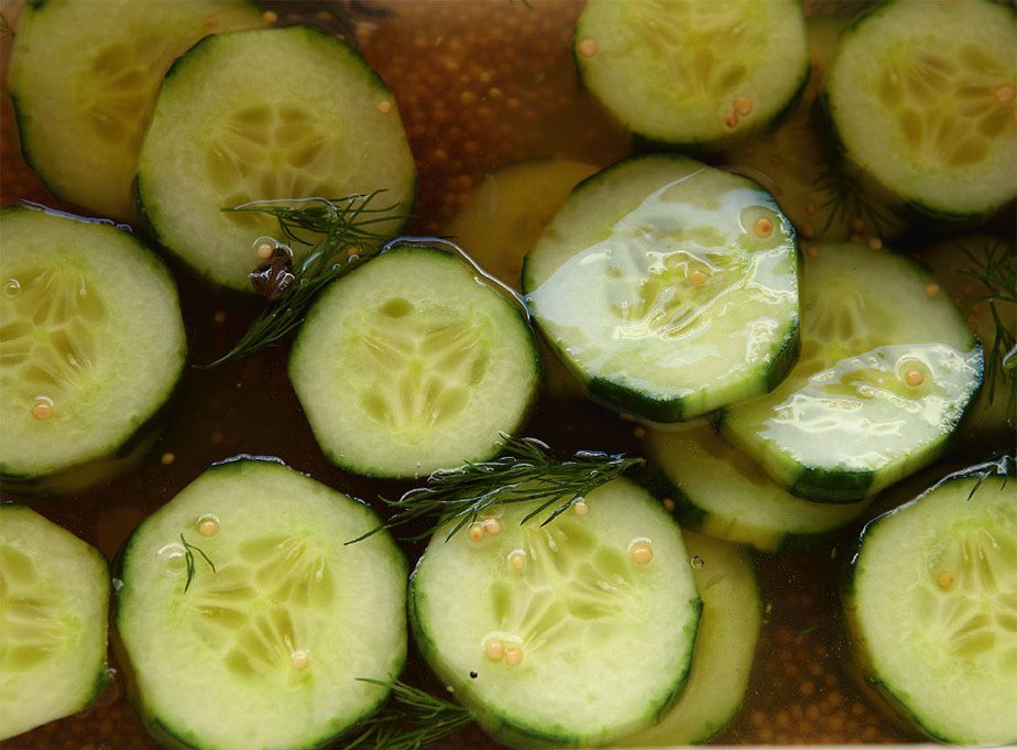 Cucumber pickle from Honey & Co Food from the Middle East by Sarit