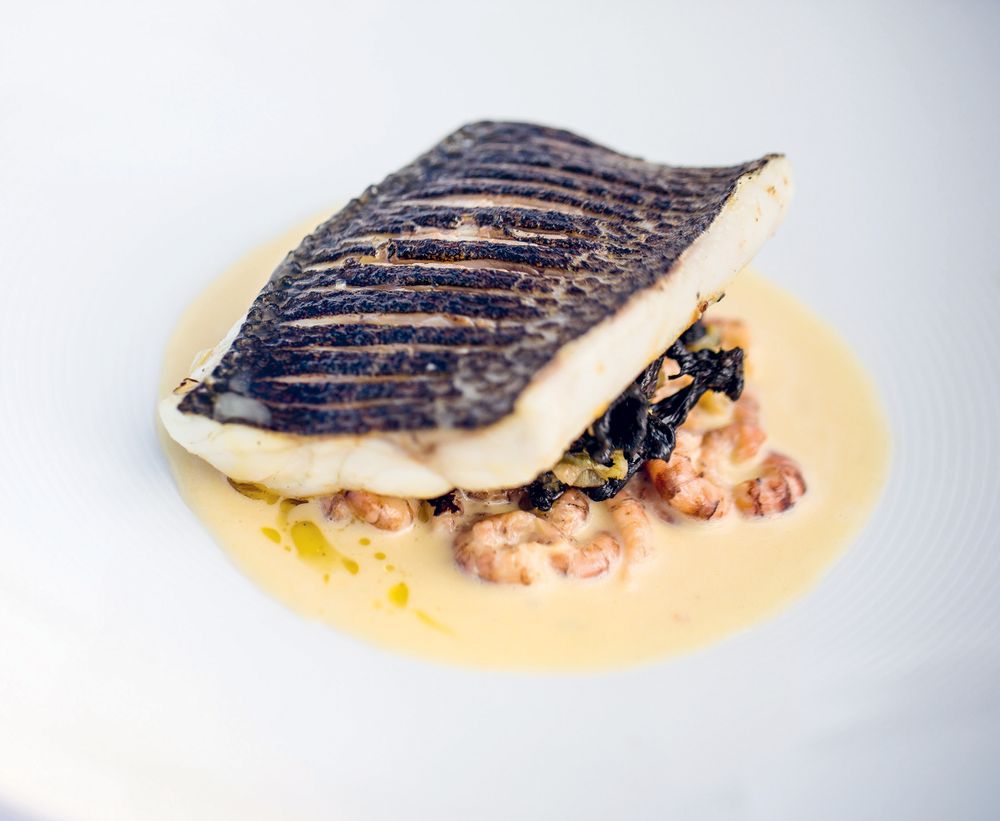 Grilled Sea Bass/Champagne & Shrimp Sauce from Hook Line Sinker A