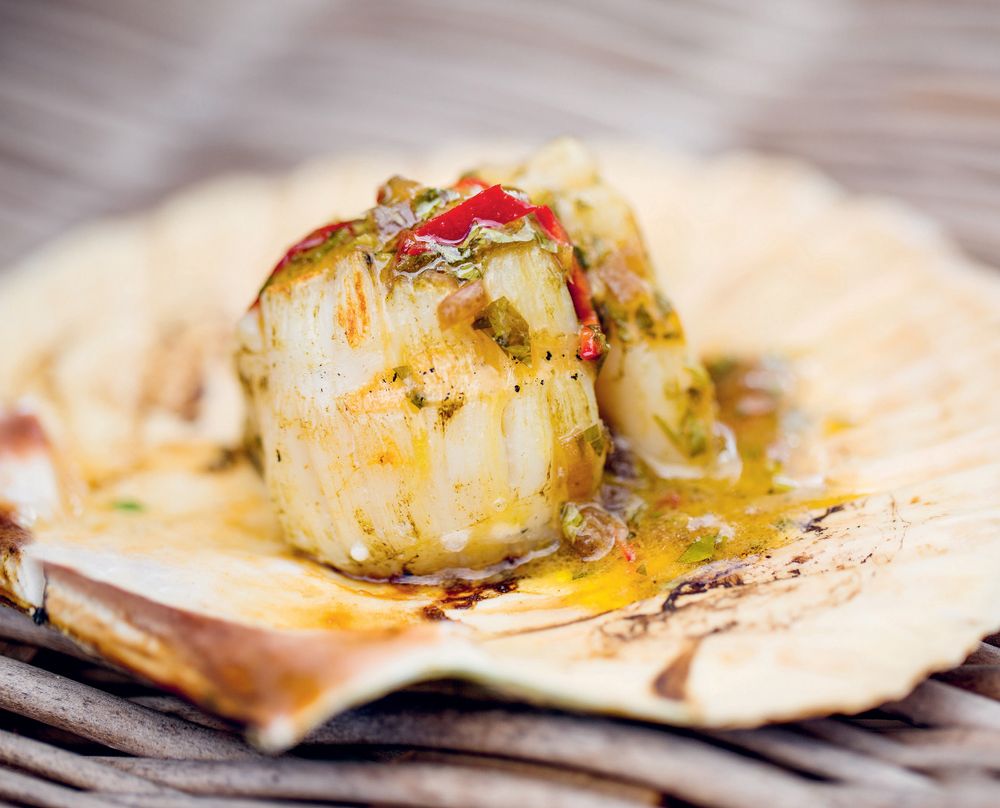 Barbecued Scallops/Chilli Dressing from Hook Line Sinker: A seafood cookbook by Galton Blackiston