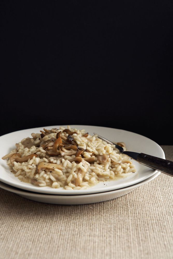 Risotto with Eggplant from Hazan Family Favorites by Giuliano Hazan