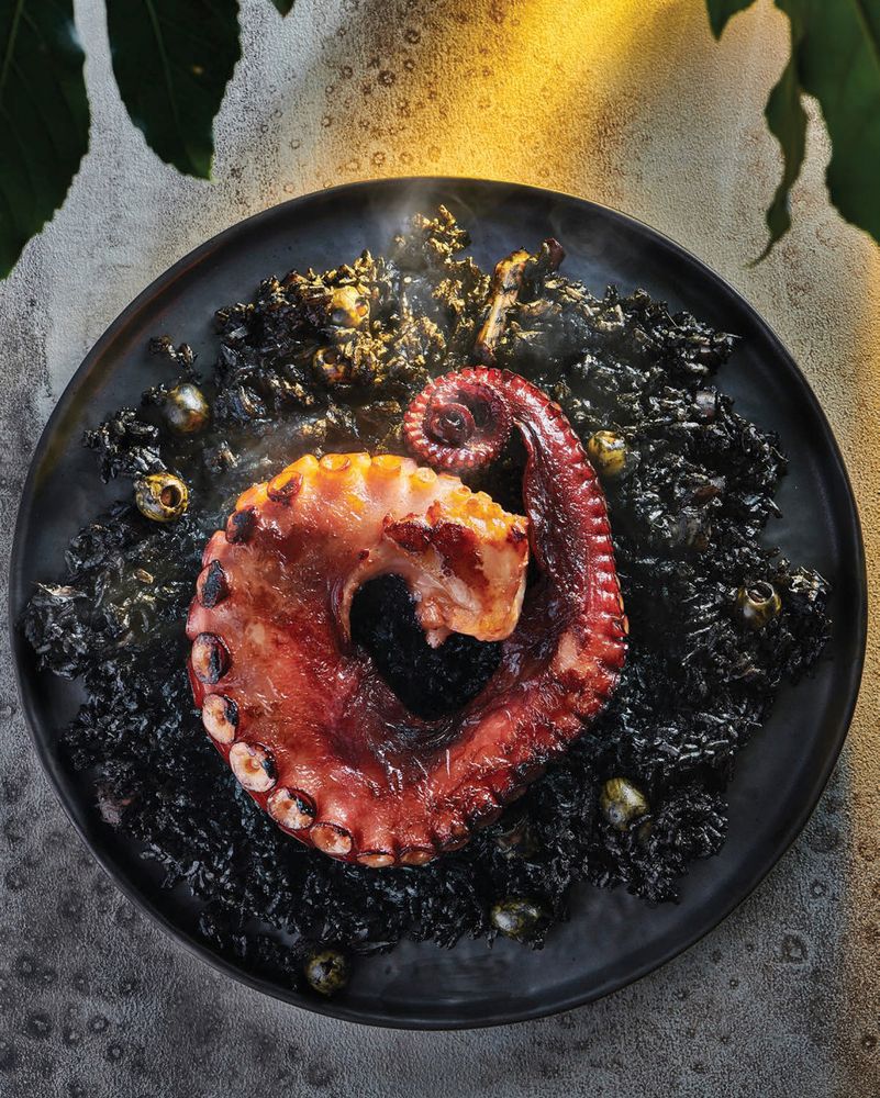 Black Rice with Octopus and Squid from Islas: A Celebration of Tropical ...