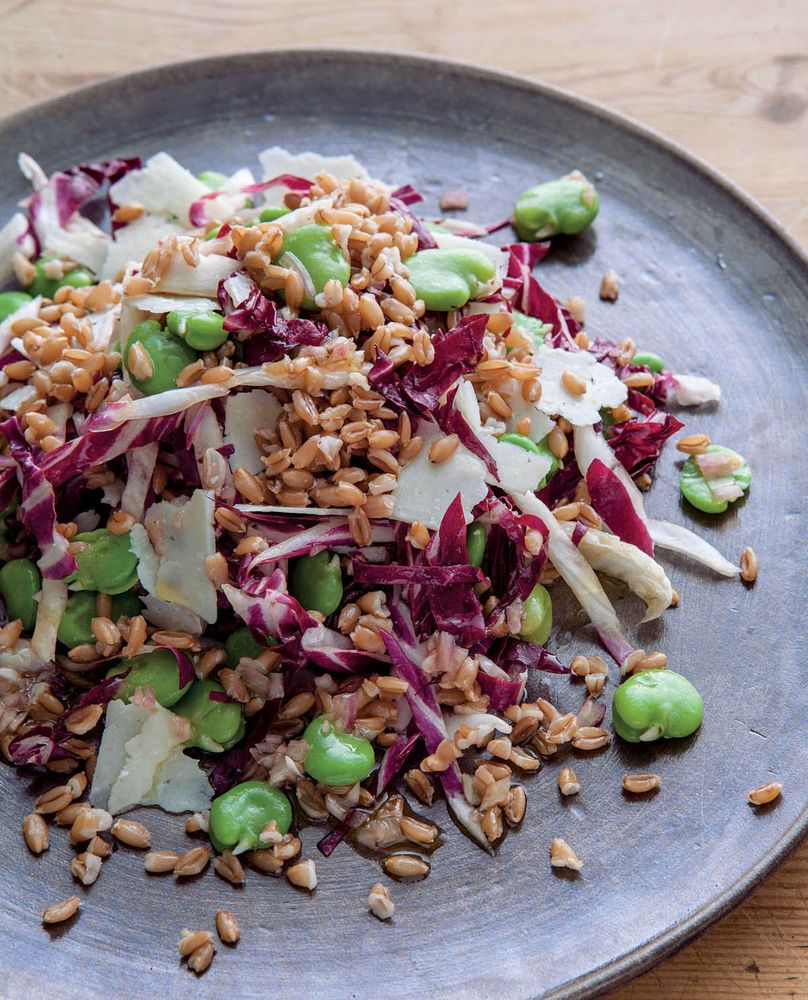 Farro Salad with Fava Beans & Radicchio from Italian Comfort Food by The Editors of Saveur