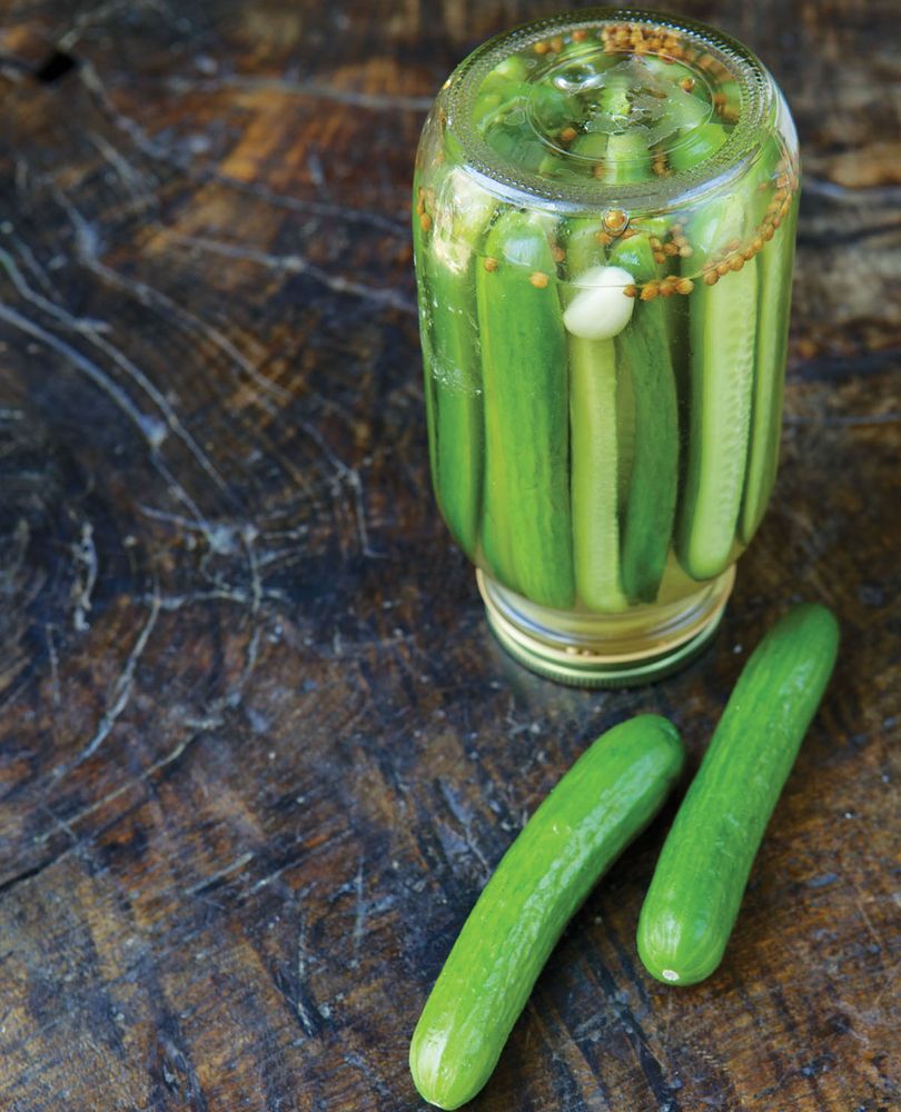 Quick + Easy Persian Cucumber Pickle from Joon Persian Cooking Made