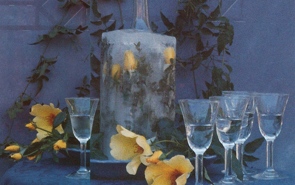 Limoncello from Lemons (A Country Garden Cookbook) by Christopher Idone
