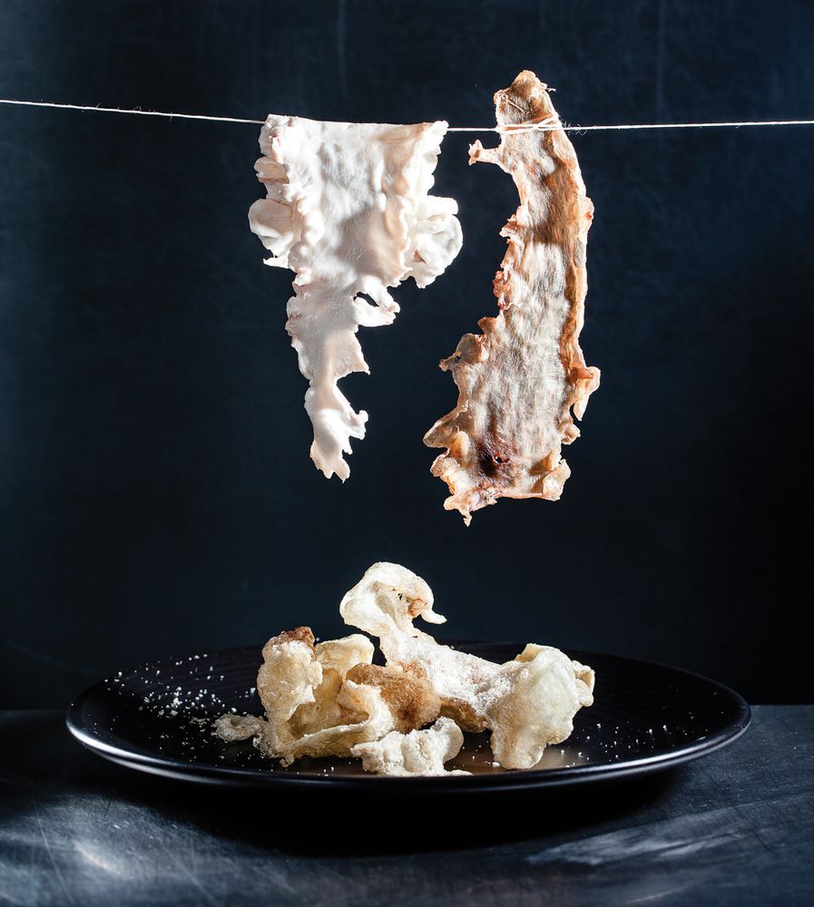 Snack Made from Cod Air Bladder from Mouthfeel: How Texture Makes Taste ...