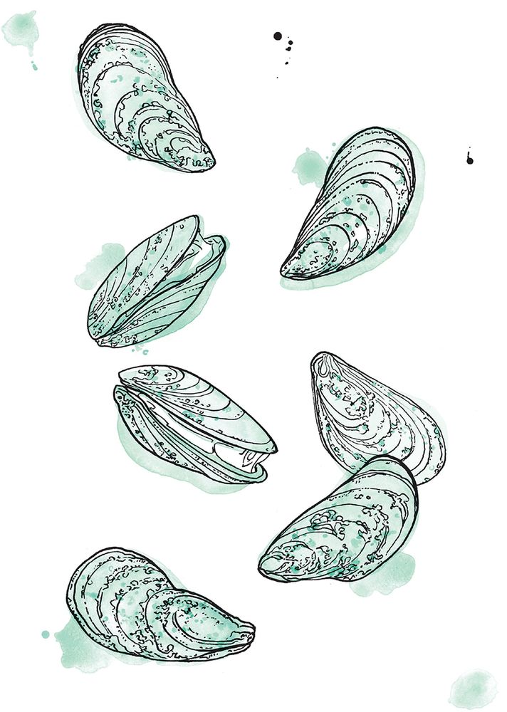 GoanStyle Mussels from Madhur Jaffrey's Indian Cookery by Madhur Jaffrey