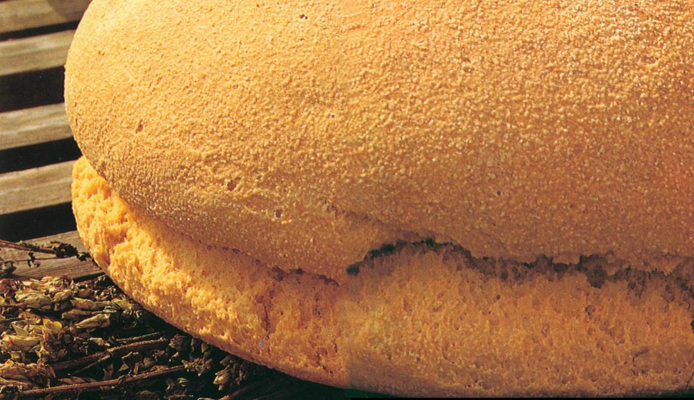 Portuguese Corn Bread from Making Bread at Home by Tom Jaine