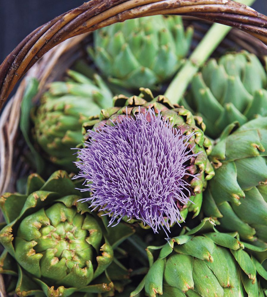 Artichokes in Olive Oil from Mediterranean Vegetarian Feasts by Aglaia Kremezi