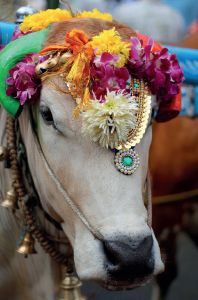 Kelvintt/Dreamstime.com