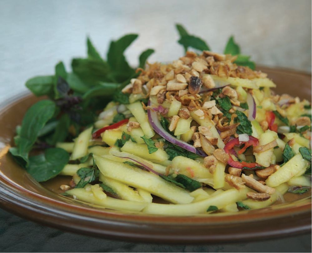Green Mango Salad from Southeast Asian Flavors: Adventures in Cooking the Foods of Thailand, Vietnam, Malaysia &amp; Singapore by Robert Danhi