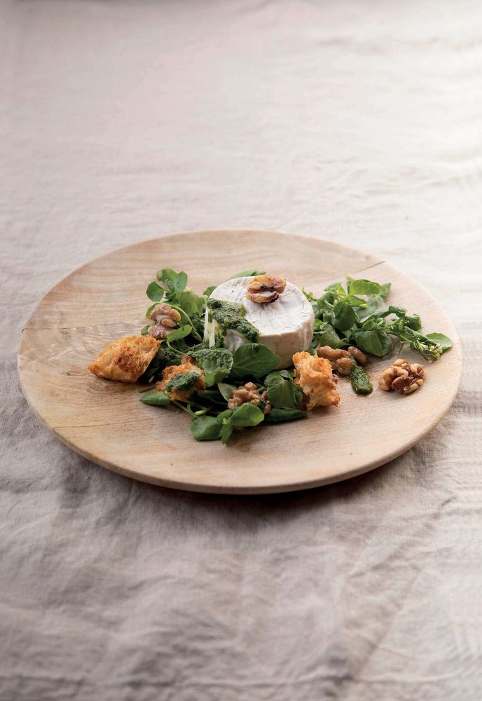 Goat’s Cheese and Salsa Verde from Seasonal Salads by Fi Buchanan