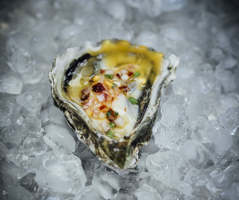 Oysters with Passion Fruit Mignonette from Season: Big Flavors, Beautiful Food by Nik Sharma