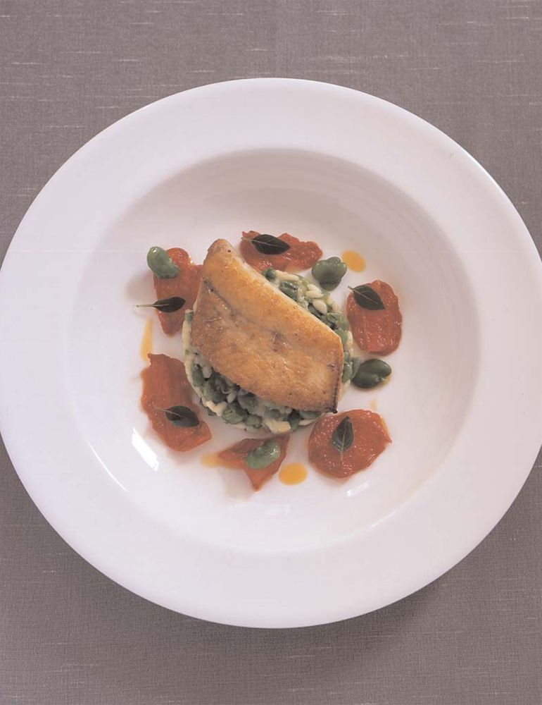 Pan Fried John Dory with Pea Risotto, Semi Dried Tomatoes and Tomato