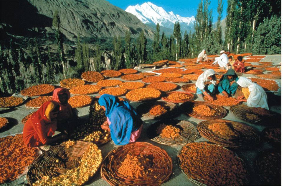 Jonathan Blair / Woodfin Camp & Associates