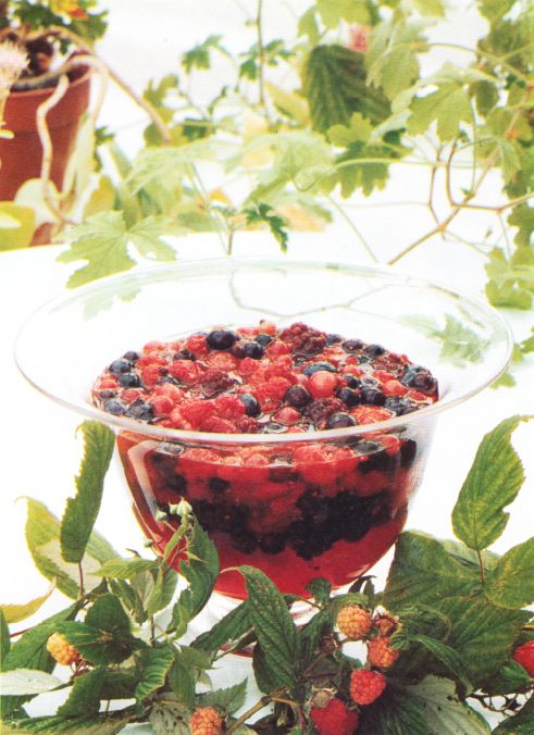 Summer Fruit Salad with Sweet Geranium Leaves* from Simply Delicious: Book 1 by Darina Allen