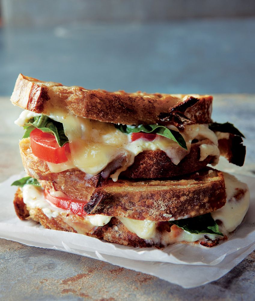 three-cheese-tomato-from-perfect-panini-mouthwatering-recipes-for