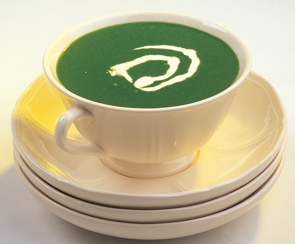 Spinach Cream Soup from The Peruvian Kitchen by Morena Cuadra