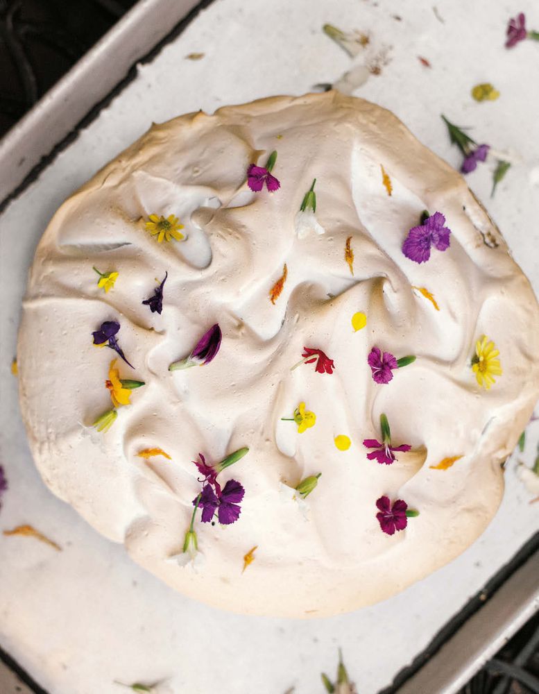 spring-cordial-pie-from-pie-for-everyone-recipes-and-stories-from