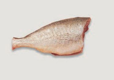 dressed fish cut Guide To Fish Terminology