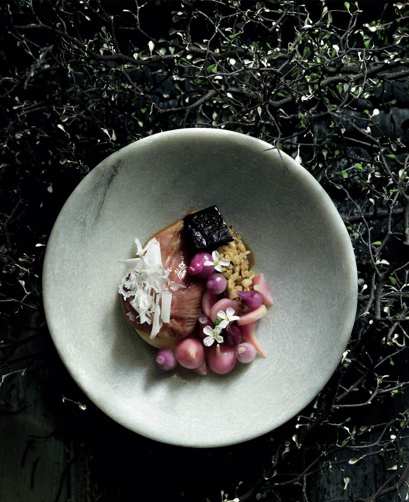 SlowCooked Quail Breasts with Truffle Custard, Black Pudding, Pink