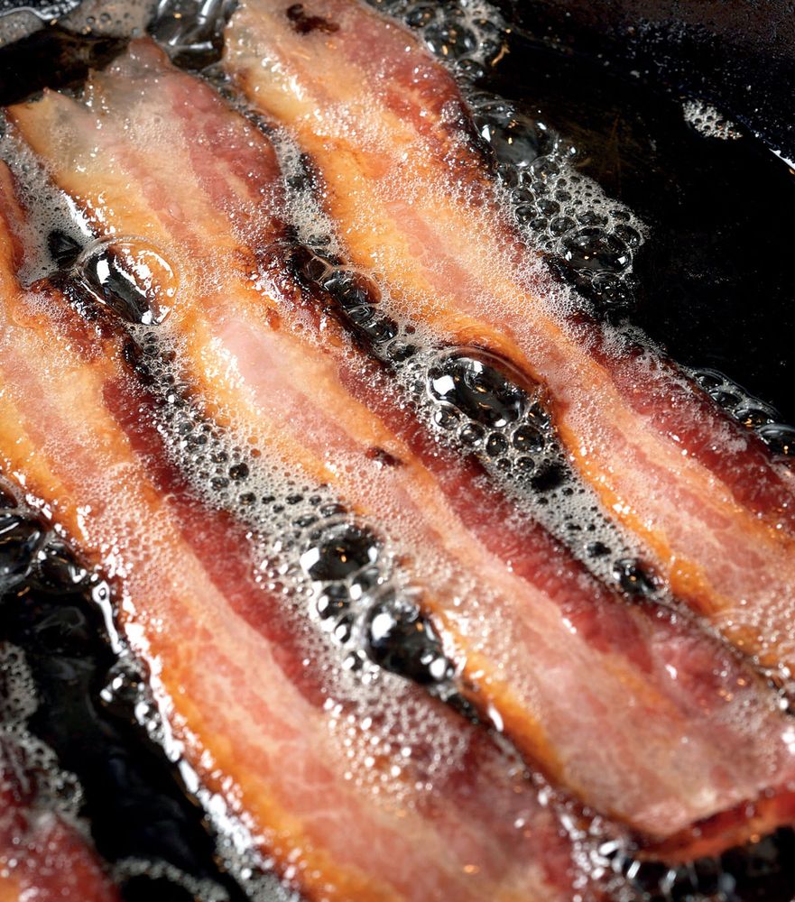 Bacon at Home from Ruhlman's Twenty by Michael Ruhlman