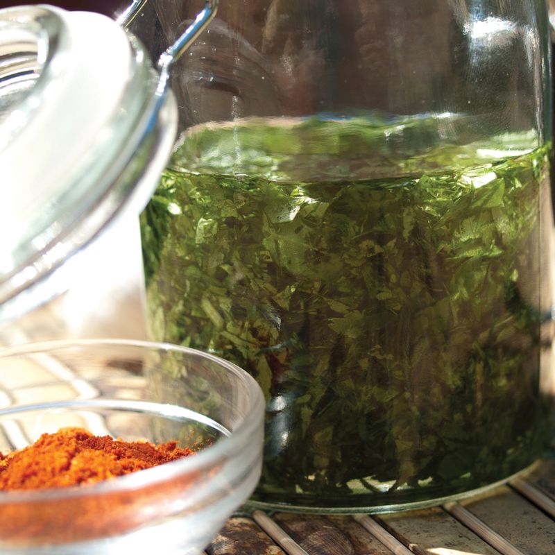 Moroccan Dipping Sauce from Well Fed Paleo Recipes for People Who Love
