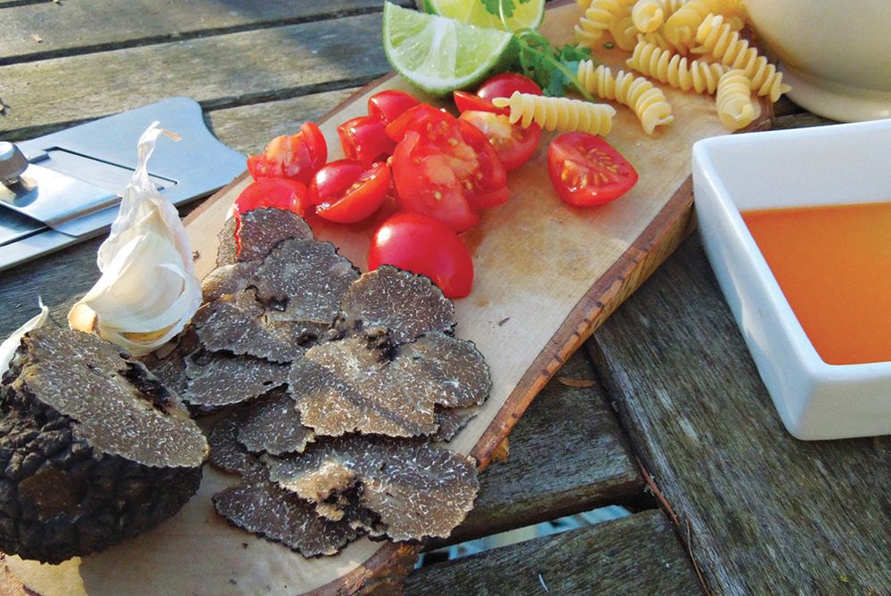Pasta made Perfect with Truffles from Wild Food by Roger Phillips